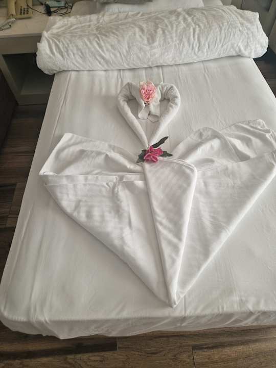 Zimmer Seaden Sea World Resort & Spa