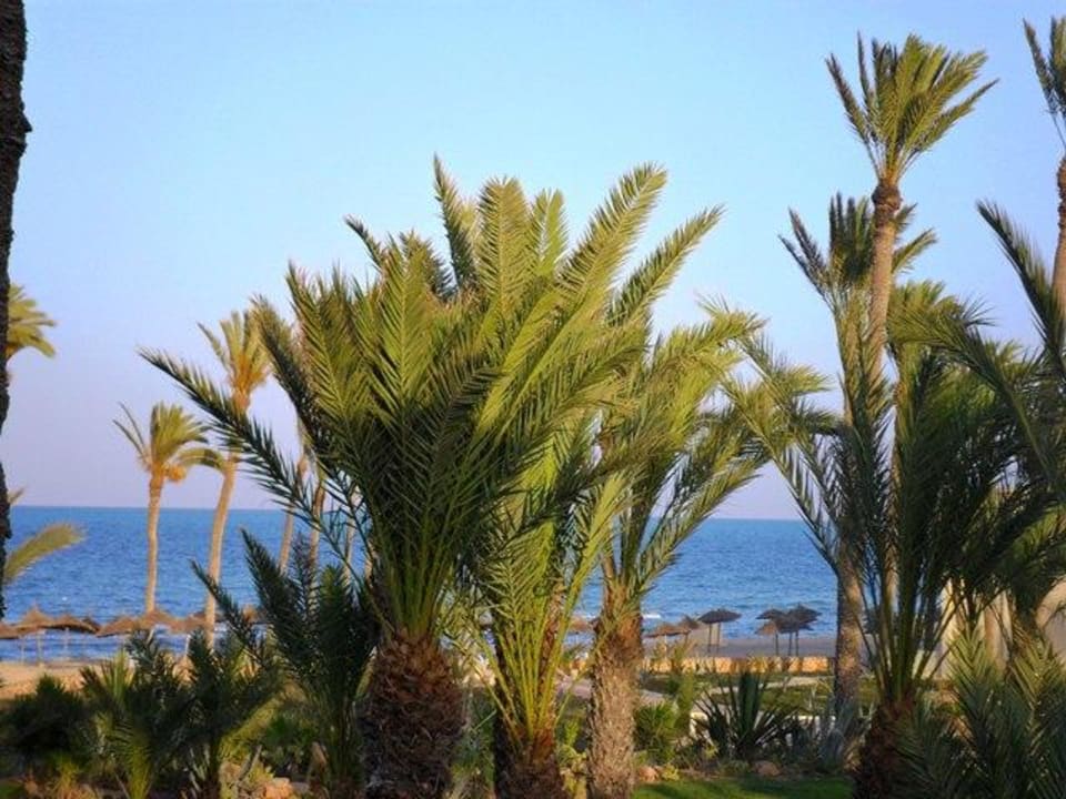 Vom Strand auf's Meer  Zephir Hotel & Spa