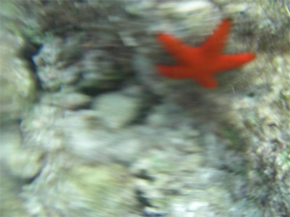 Seestern Adaaran Club Rannalhi - All Inclusive