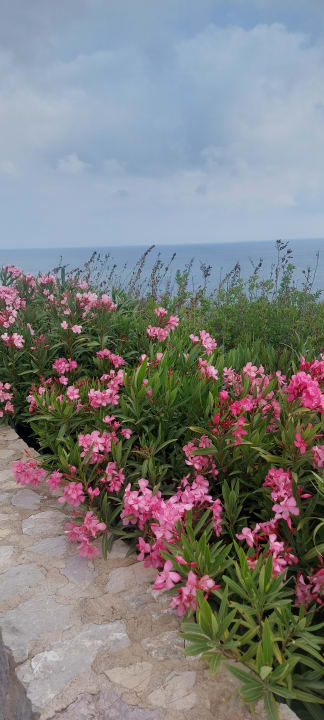 Außenansicht Hotel Kalithea Horizon Royal