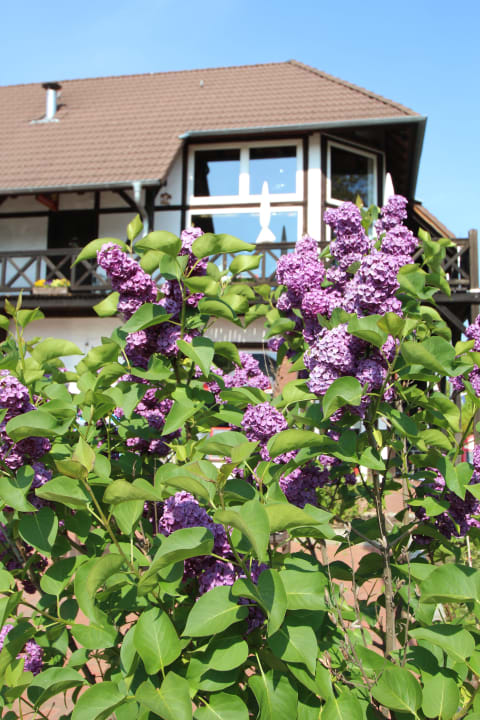 "Gartenanlage" Pension Die RadlerScheune (Burg (Spreewald