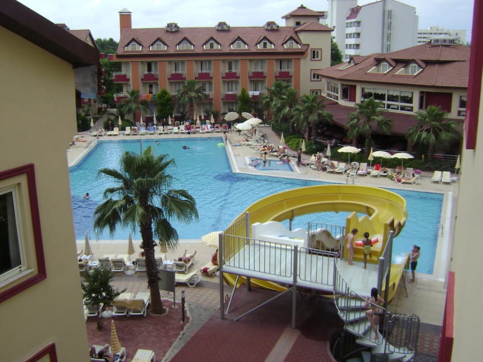 Zwembad Hotel Orfeus Park