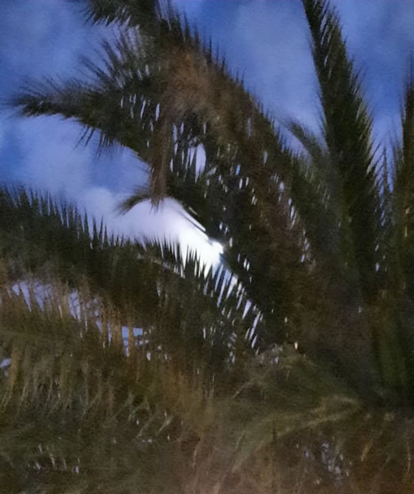 Ausblick allsun Hotel Lucana