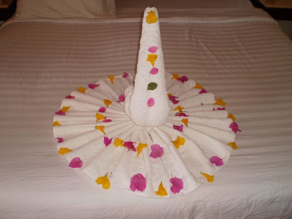 Hotel The Three Corners Sea Beach Resort Three Corners Sea Beach Resort