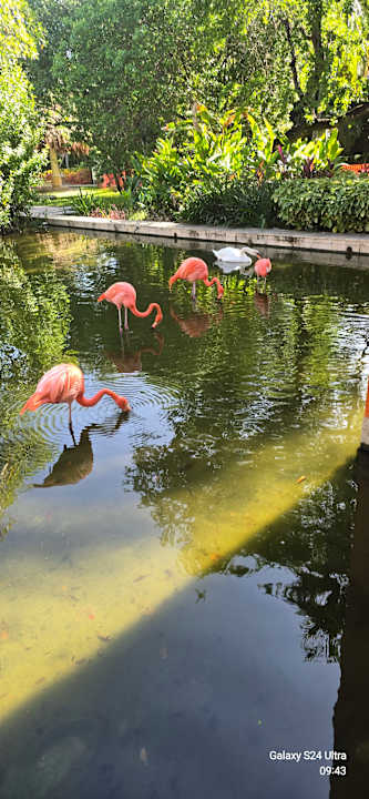 Sonstiges Iberostar Waves Paraiso del Mar