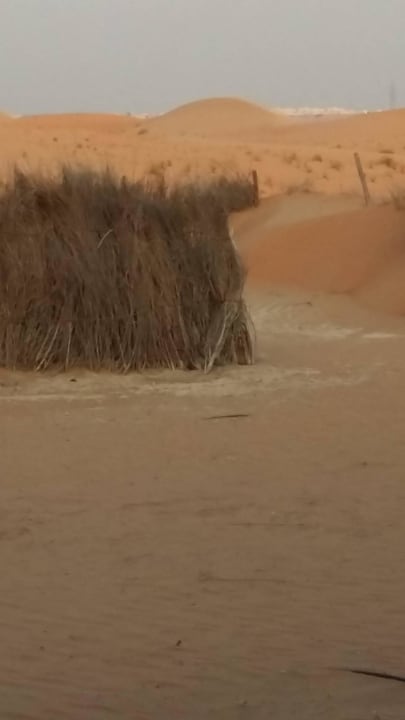 Vor der Terrasse verdeckte Grube Telal Resort