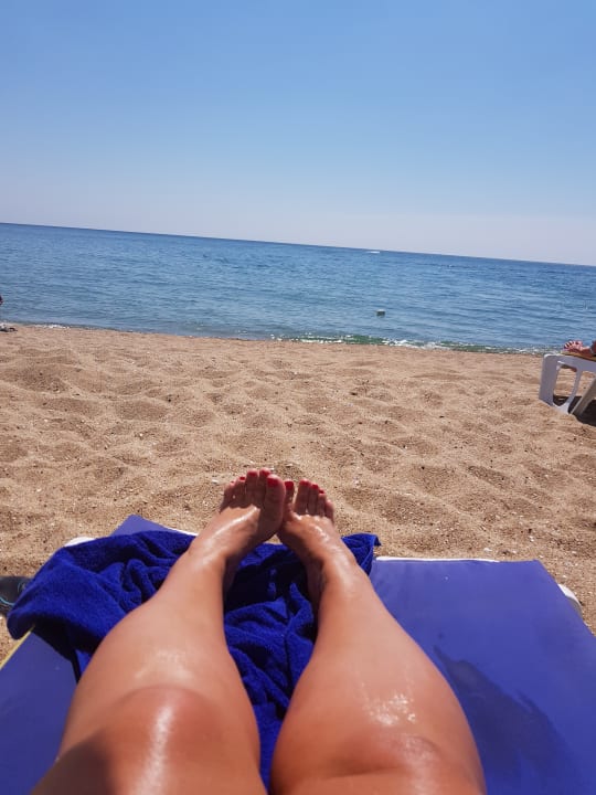 Strand Sentido Marea