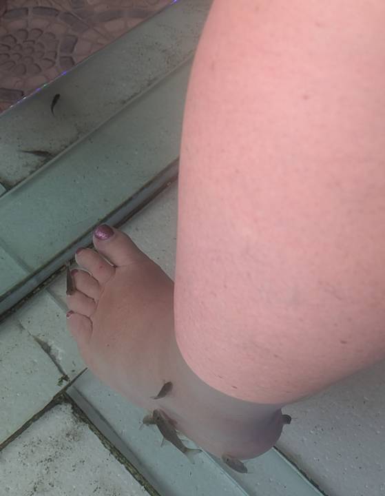 Sonstiges Three Corners Equinox Beach Resort