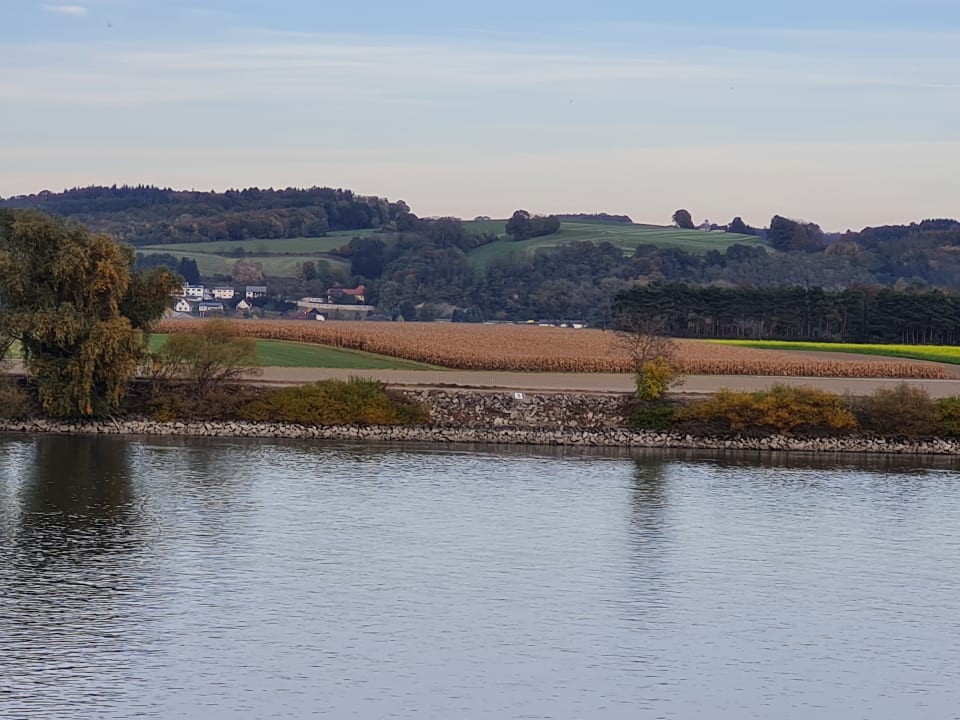 Ausblick Donau Lodge