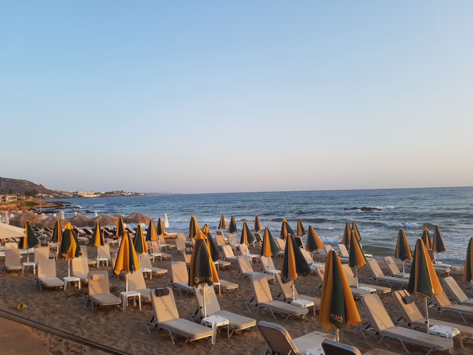 Sonstiges Cactus Beach