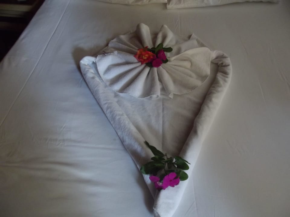 Gruss der Putzfrau Clover Magic Nova Beach