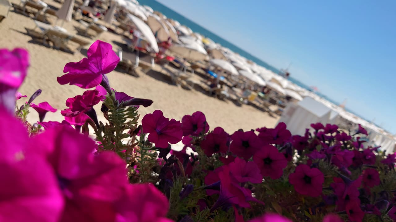 Strand Hotel Victoria Frontemare