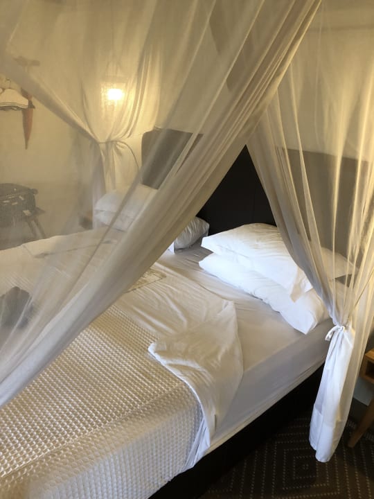 Zimmer Safari Lodge- Amakhala Game Reserve