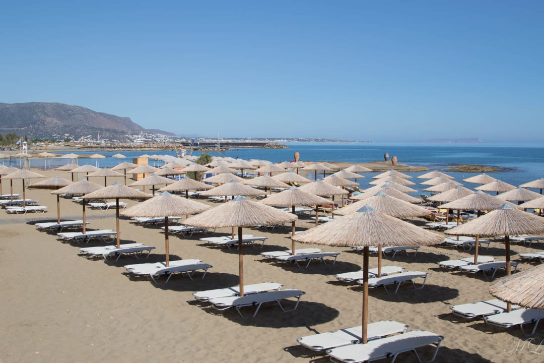 Strandliegen mit Schirm allsun Hotel Carolina Mare
