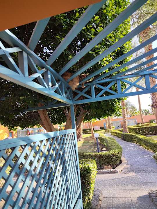 Außenansicht Giftun Azur Resort