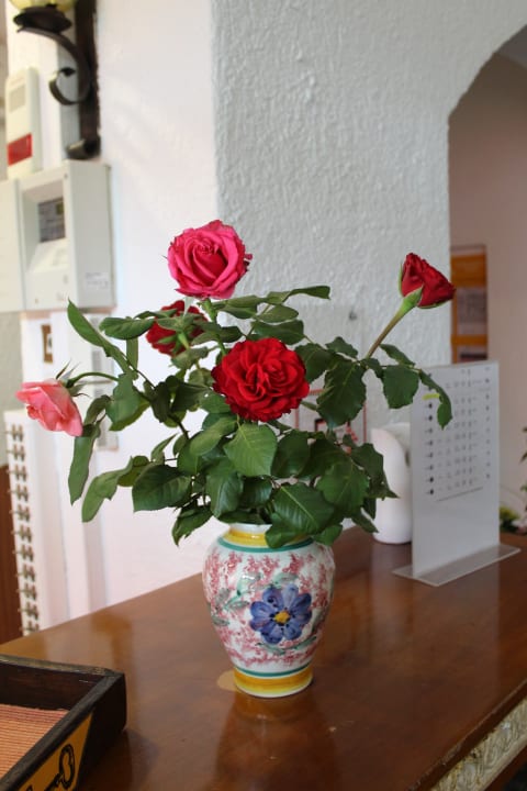 Sonstiges Hotel Malia Holidays