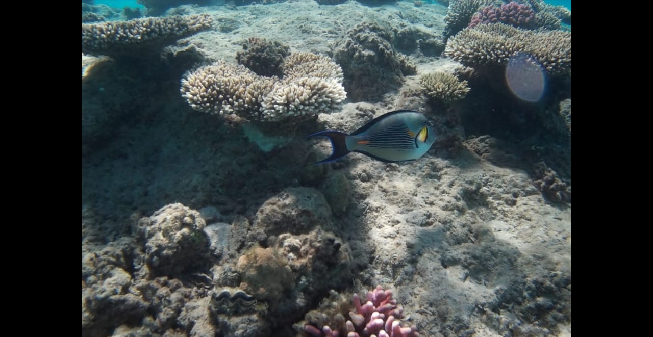 Sport & Freizeit Premier Le Reve Hotel & Spa