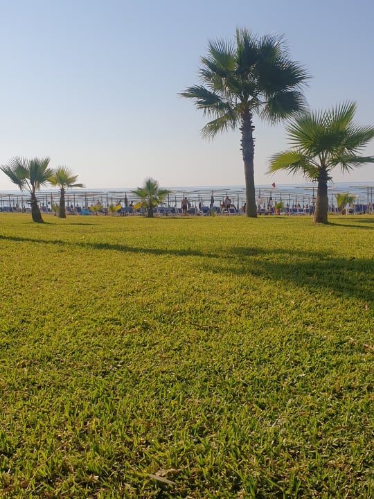 Strand Süral Saray Hotel