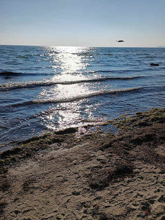Strand Santé Royale Rügen Resort