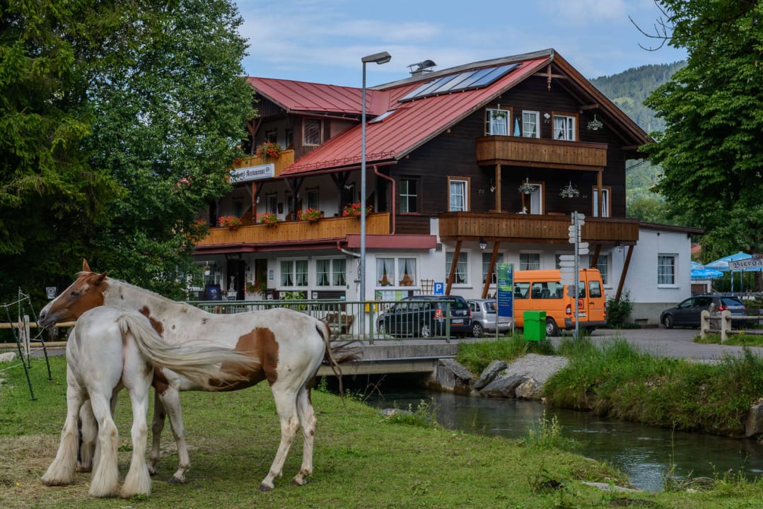 Landschaft Pension Alte Schmiede am Nordpol