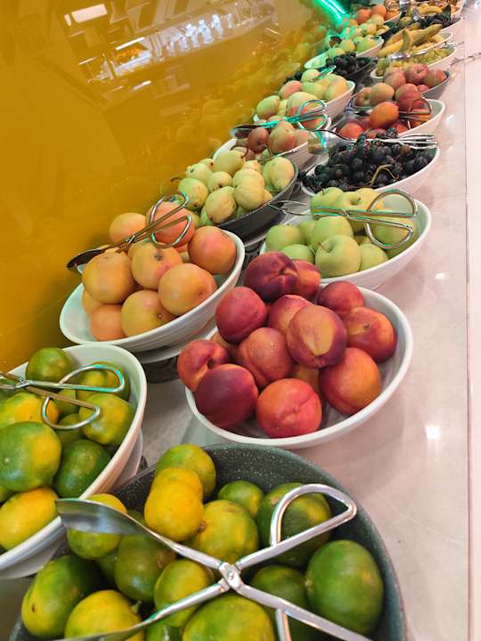 Gastro Maxeria Blue Didyma