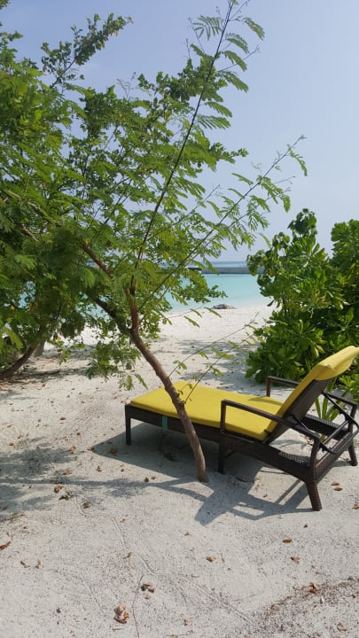 Zimmer Summer Island Maldives