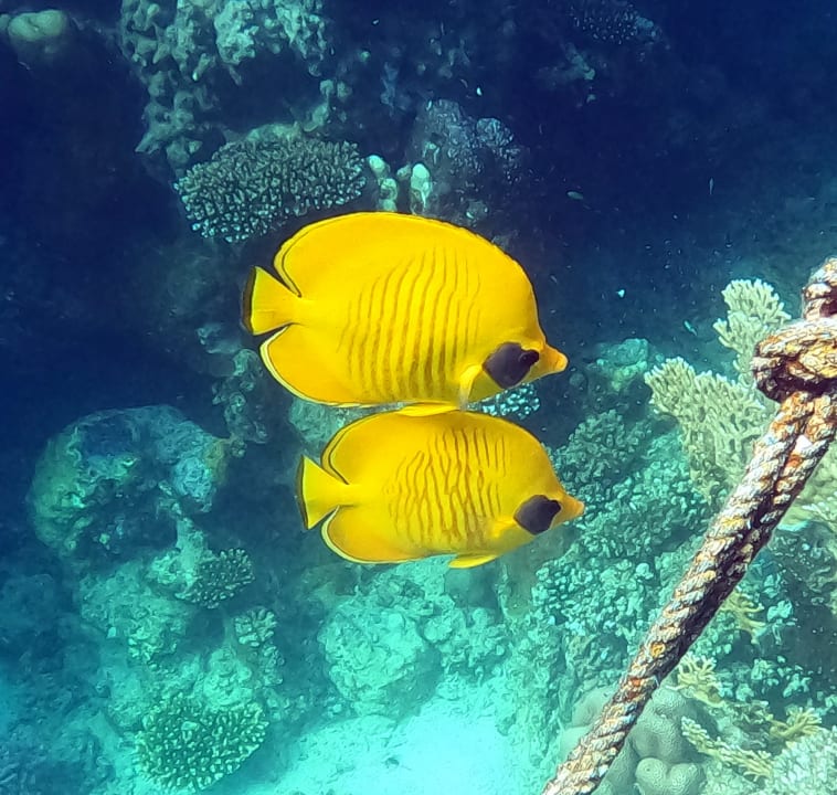 Sport & Freizeit Brayka Bay Resort