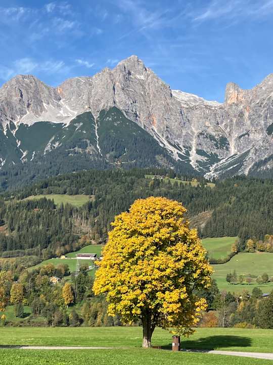 Sonstiges Hotel Salzburgerhof