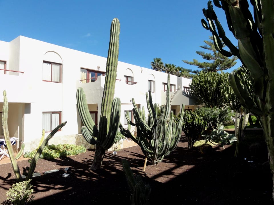 Gebäude der Hotelanlage Alua Suites Fuerteventura