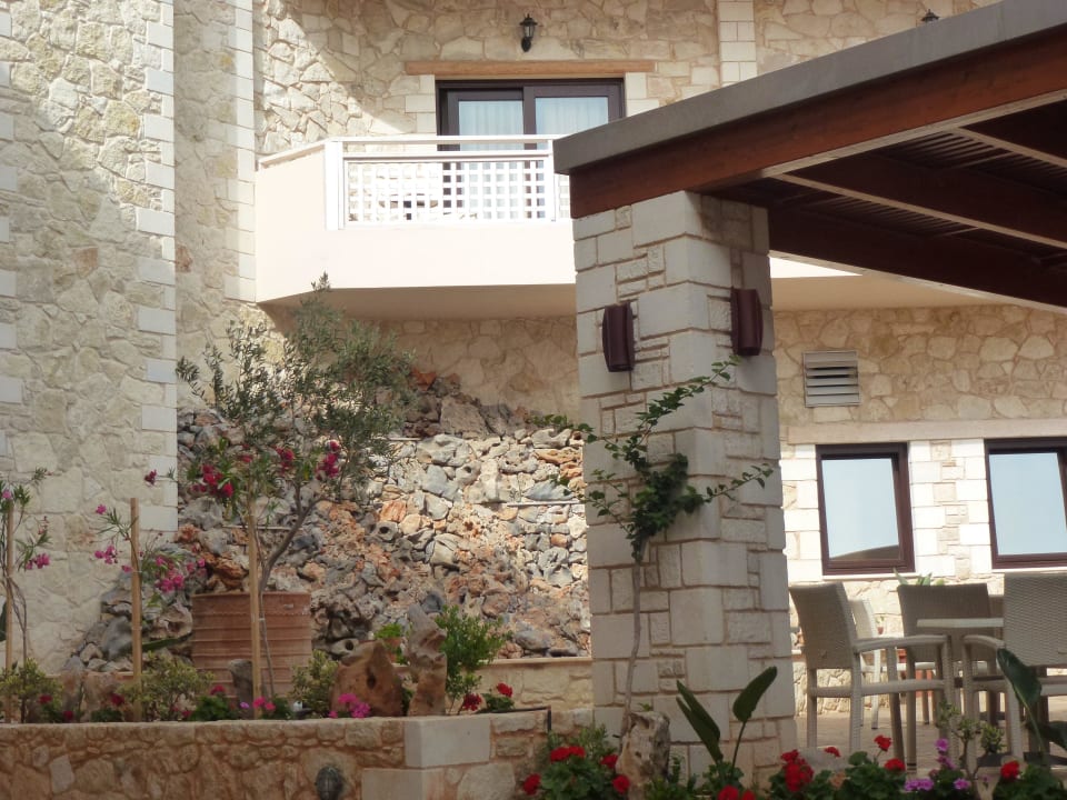 Wasserfall Cactus Royal