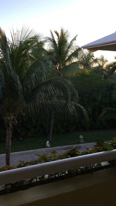 Ausblick Iberostar Waves Paraiso del Mar