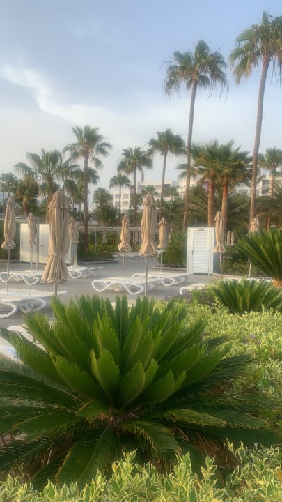 Gartenanlage Hotel Riu Gran Canaria