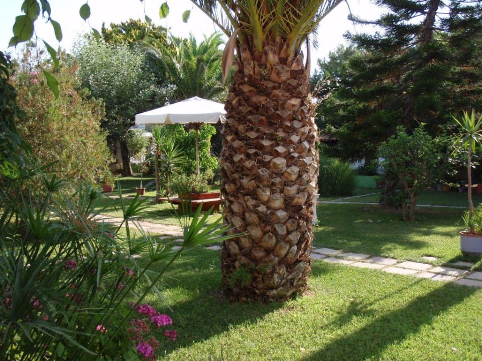 Garden Gaia Garden Hotel
