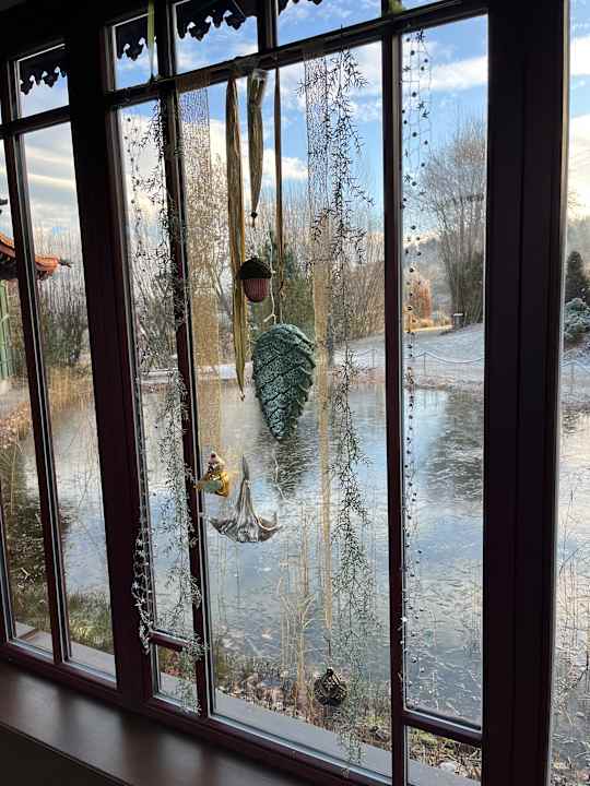 Ausblick Spirit & SPA Hotel Birkenhof am Elfenhain