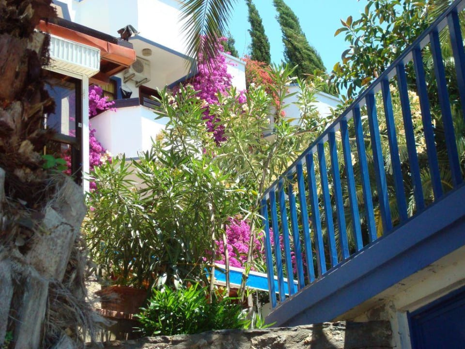 Hotel Orkinos Hotel Orkinos