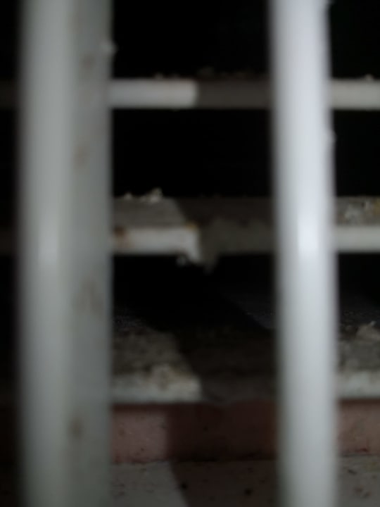 Zimmer Punta Cana Princess All Suites Resort & Spa