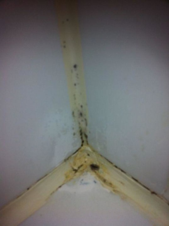 Absoluter Ekelfaktor-Schimmel im Bad Golden Beach Resort