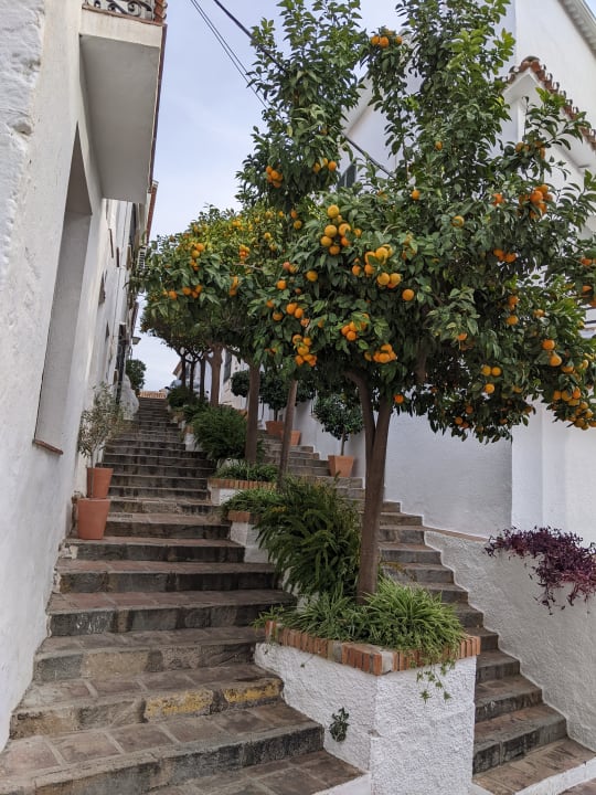 Sonstiges Hotel Best Siroco