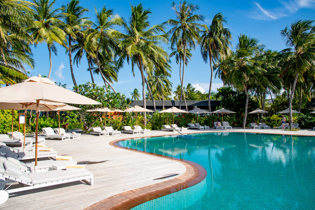 Pool Veligandu Maldives Resort Island