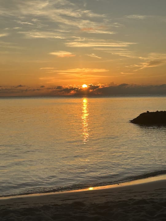 Ausblick Summer Island Maldives
