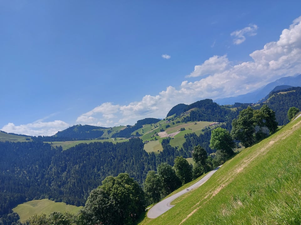 Ausblick Alpengasthof Hotel Gruberhof