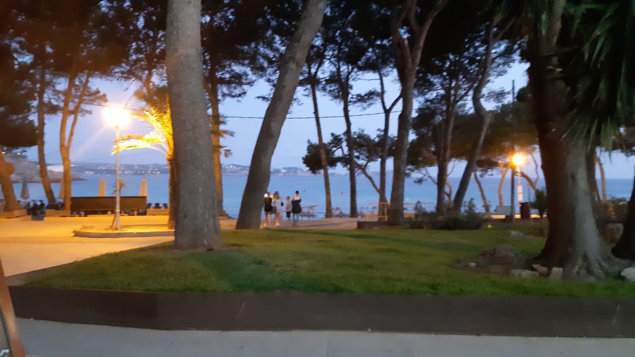 Ausblick allsun Hotel Bella Paguera