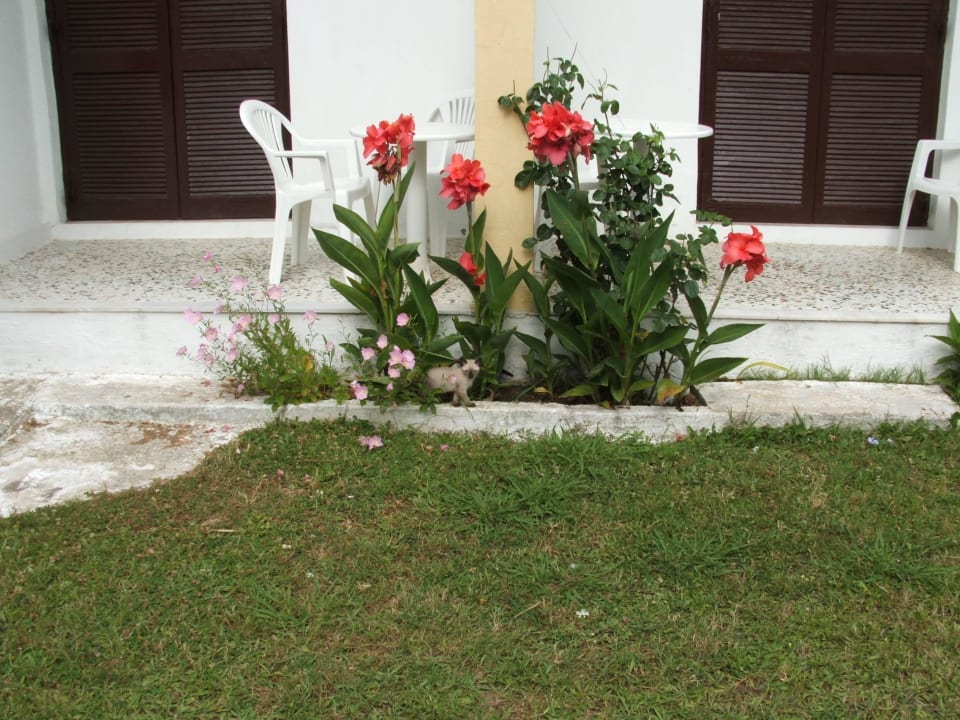 Relax place Hotel Fire Fly