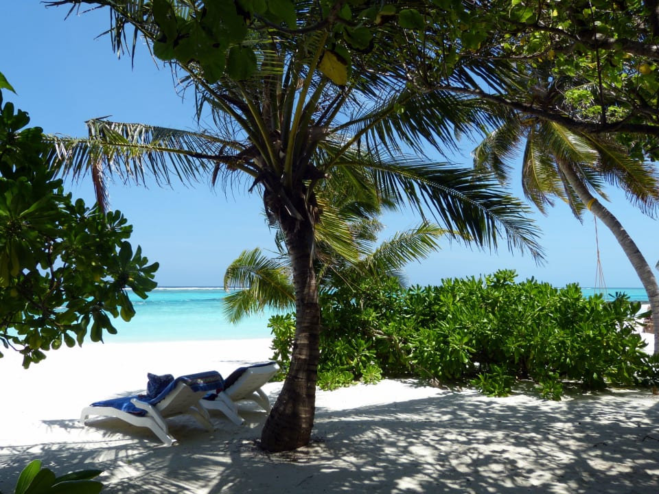 Strand Bungalows 225-226 Summer Island Maldives