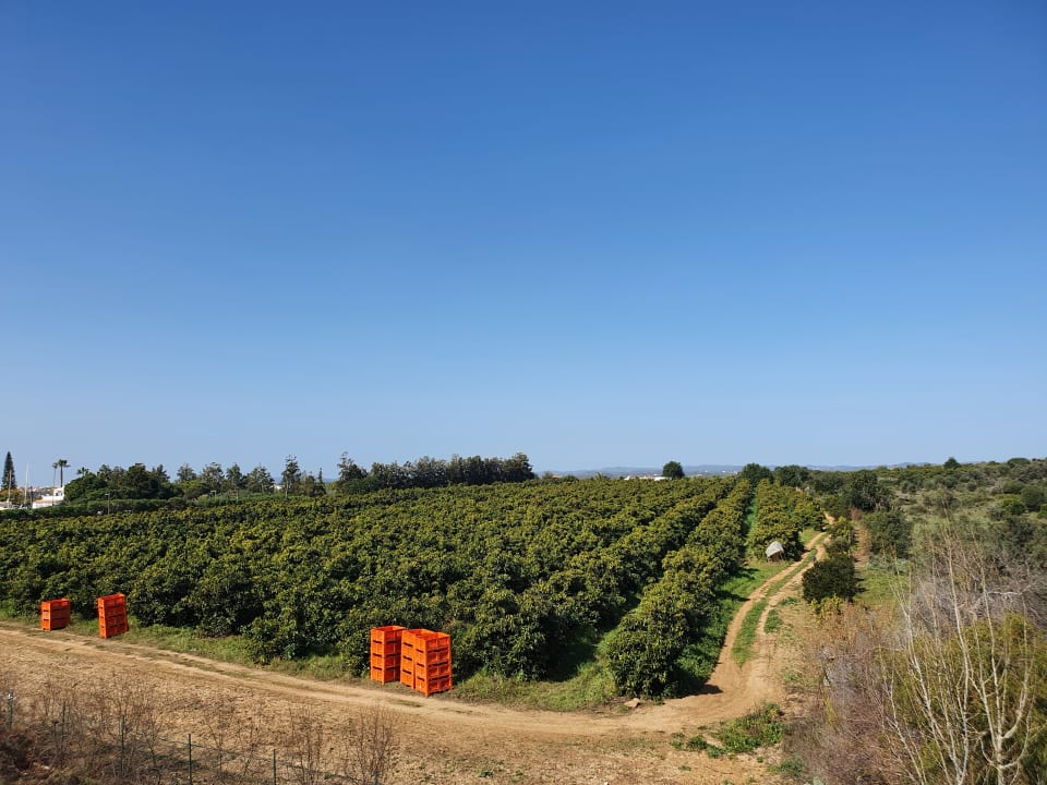 Zimmer Golden Club Cabanas