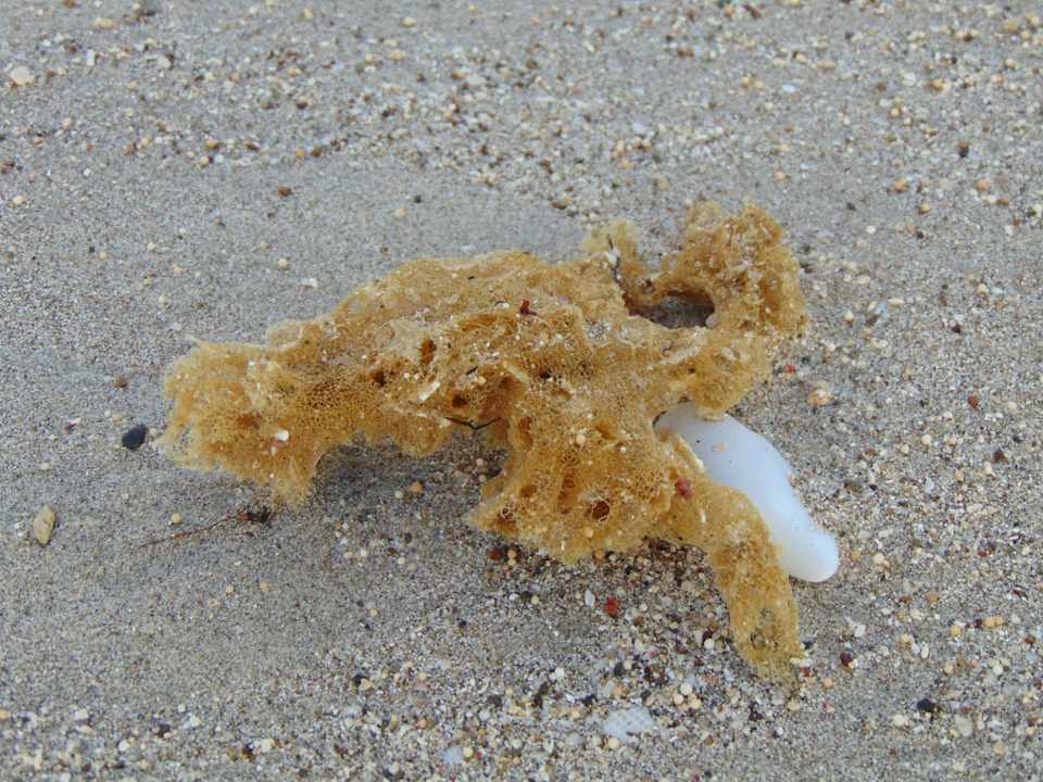 Strand Amber Lombok Beach Resort