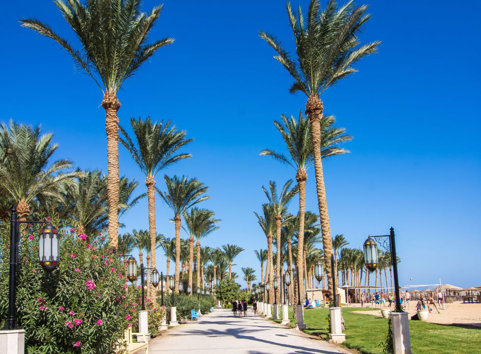 Garten Makadi Palace