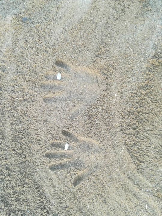 Strand Megasaray Club Belek