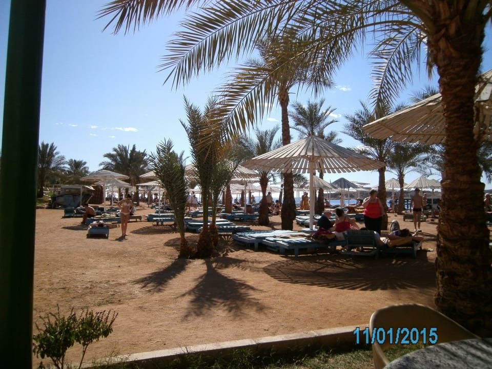 Von der Strandbar Richtung Liegen Pickalbatros Aqua Blu Resort - Sharm El Sheikh