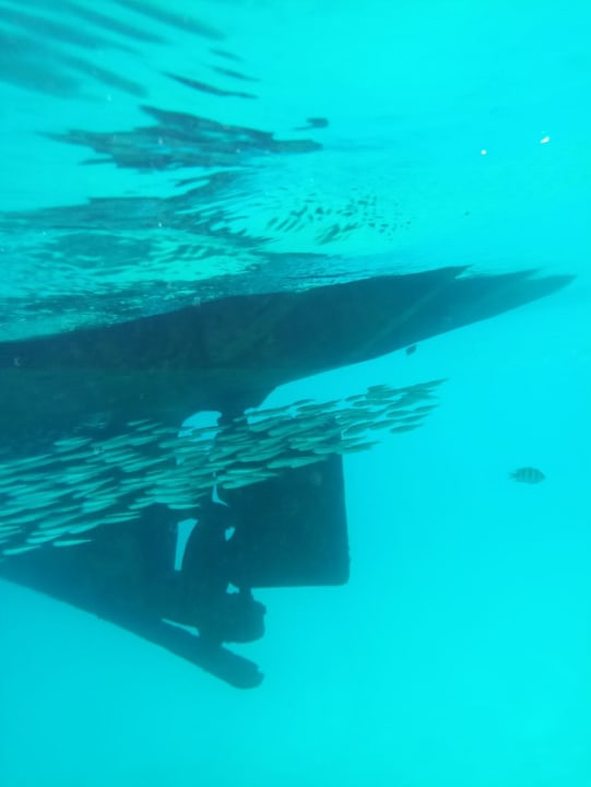 Sport & Freizeit Amarina Abu Soma Resort & Aquapark